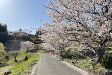 高田濃施山公園（福岡県みやま市）