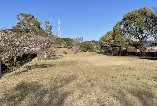 高田濃施山公園の芝生広場