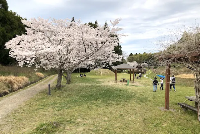 塚原古墳公園