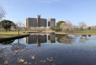 坪井川緑地公園（熊本市）地域を代表する遊び場