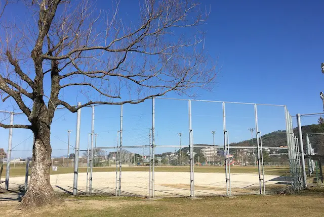 坪井川緑地運動施設の野球場