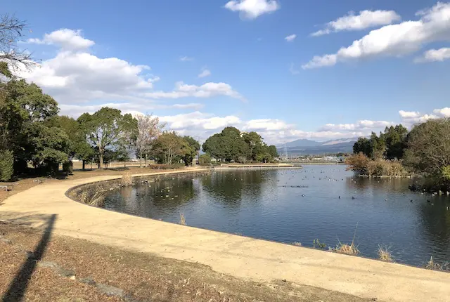 浮島周辺水辺公園の遊歩道