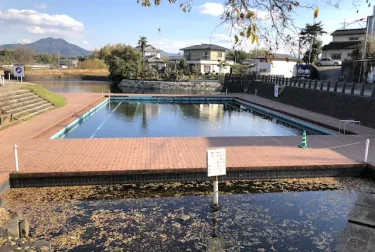 湧水公園天然プール（熊本県嘉島町）魚に泳ぎを教わるプール