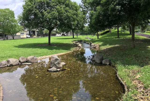 秋津三丁目公園の水路