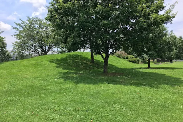 秋津三丁目公園の築山