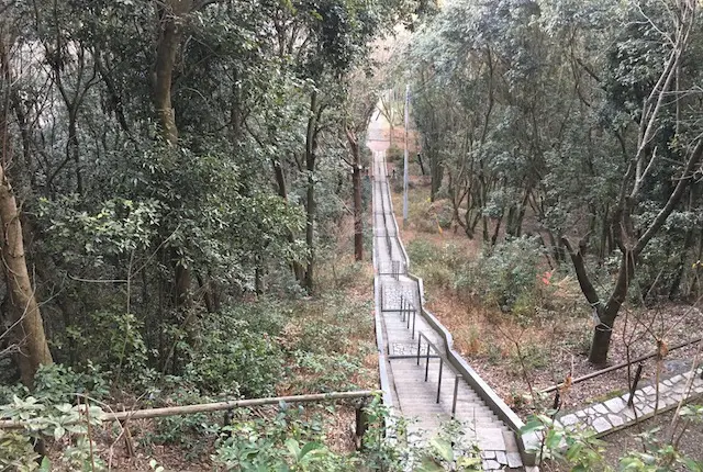 弁天山公園の石段