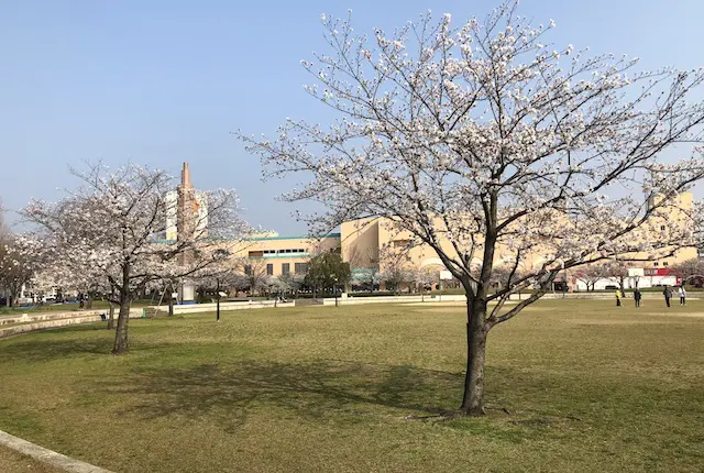 平成中央公園