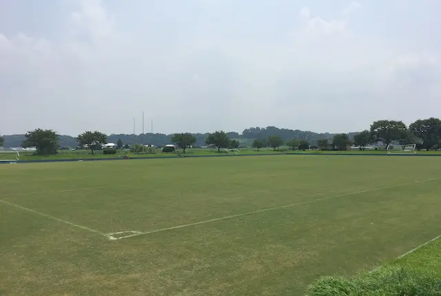 天然芝のサッカー場