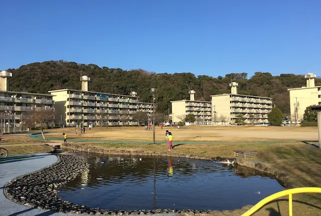 池上中央公園の池