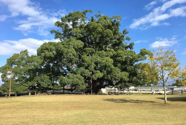 寂心緑地公園