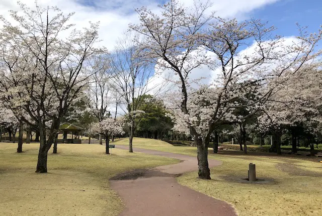  熊本県民総合運動公園ちびっこ広場