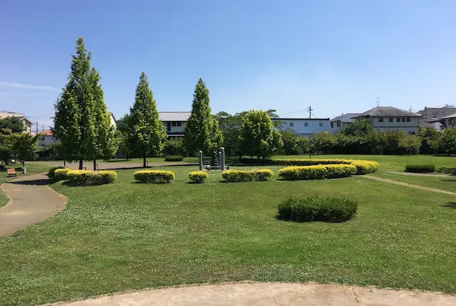 まなびの公園の芝生