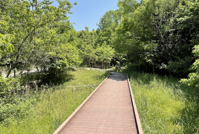 西油山中央公園の蛍デッキ