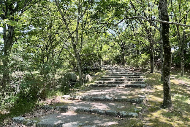 西油山中央公園の森