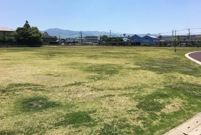 健やか広場