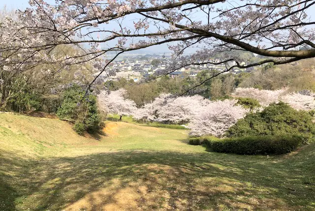 ローンスキー場