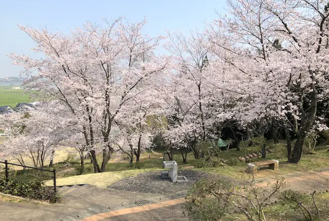 お花見広場