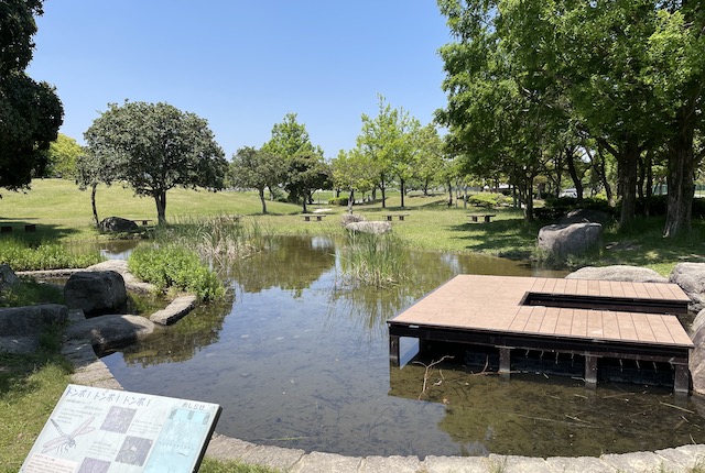 西部運動公園のビオトープ