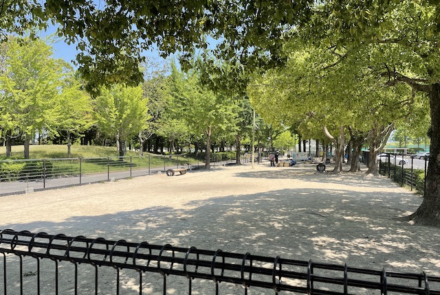 西部運動公園のドッグラン