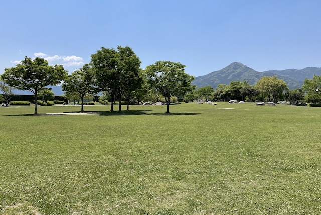 西部運動公園の芝生広場