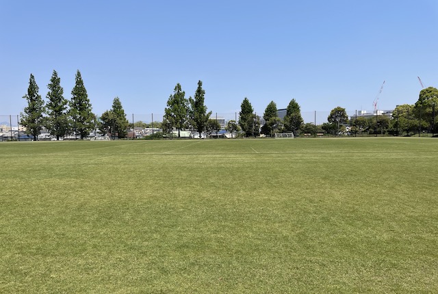 西南杜の湖畔公園の球技場