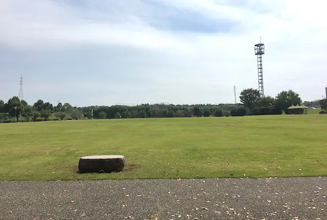 セミコンテクノパーク中央公園の芝生広場