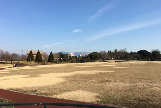 菊陽杉並木公園ふれあい広場