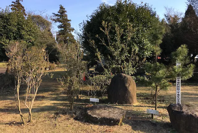 屋久町の森