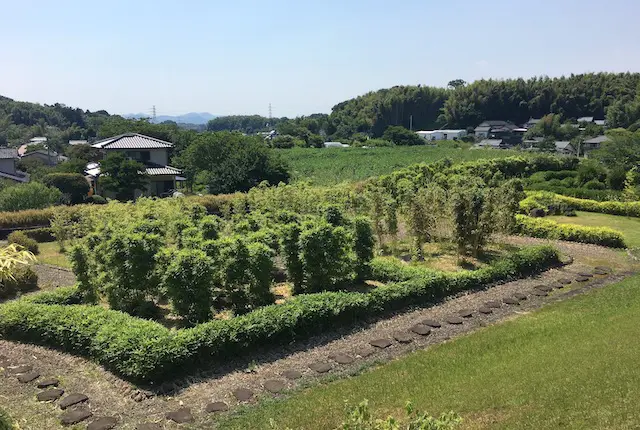 竹植物園