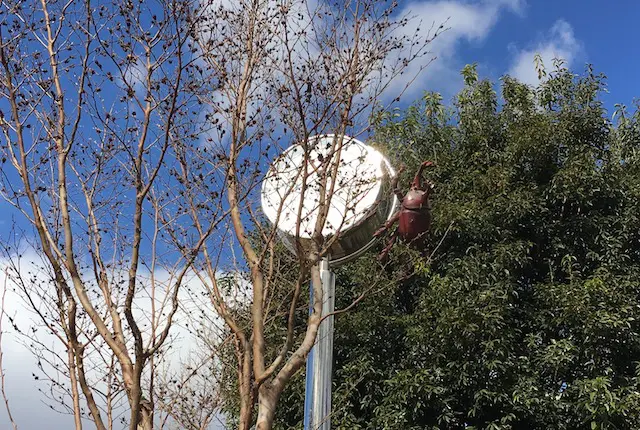 かぶとむし公園の時計