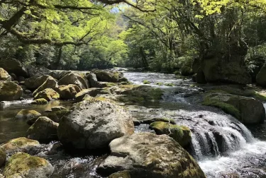 菊池渓谷（熊本県菊池市）