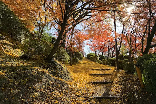 菊池公園の紅葉