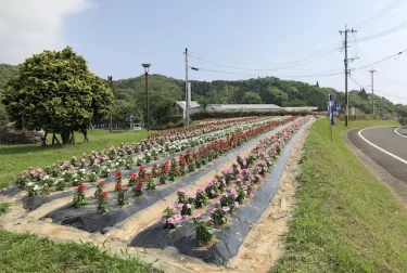 西の久保公園（熊本県天草市）