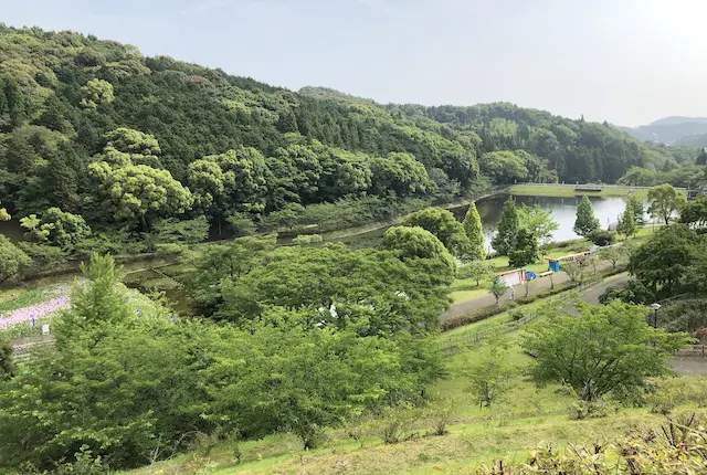 西の久保公園の風景