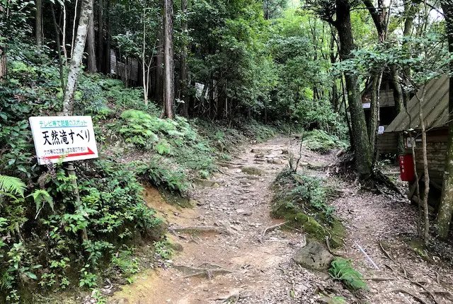 天然滝すべりの遊歩道