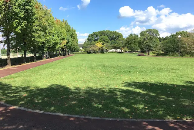 荒尾運動公園のウォーキングコース