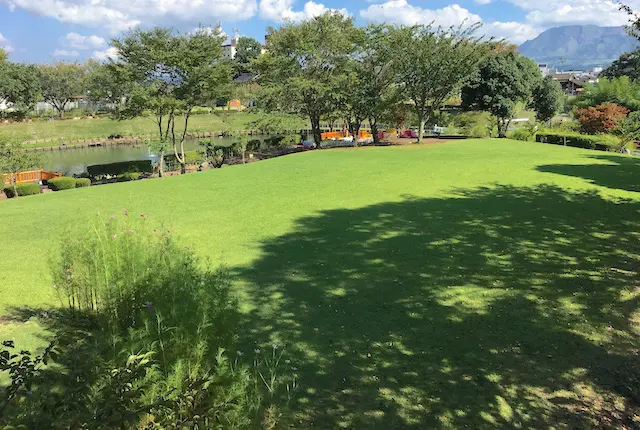 阿蘇中央公園の芝生広場