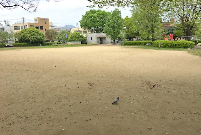 堂免公園の広場