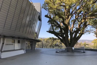 リブワーク藤崎台球場（熊本市中央区）