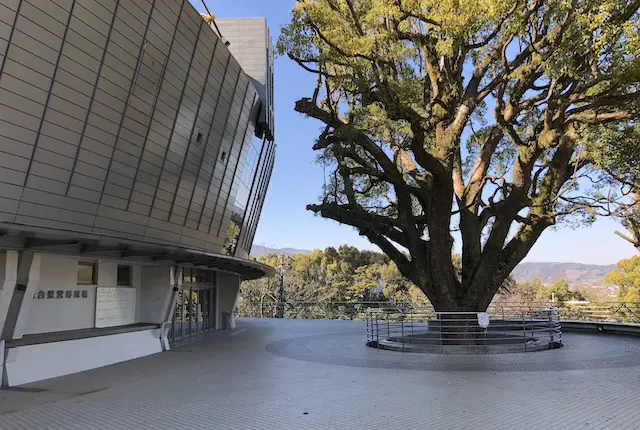 藤崎台県営野球場