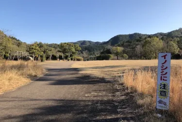 富合雁回公園（熊本市南区）硬式野球もできる広いグラウンド