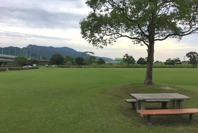 球磨川河川緑地公園の芝生広場