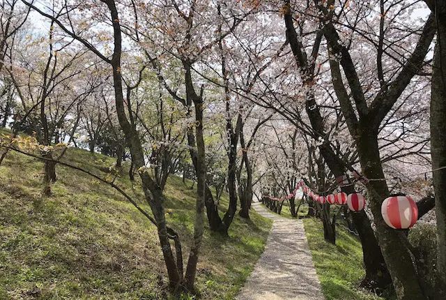 桜祭り