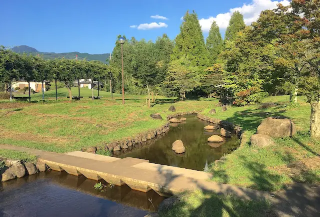 矢護川公園の水路