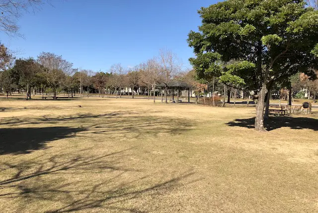 エコパーク水俣のバーベキュー場