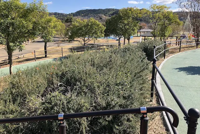 エコパーク水俣のハーブ園