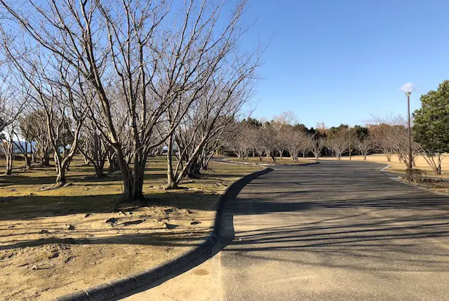 エコパーク水俣の親水緑地