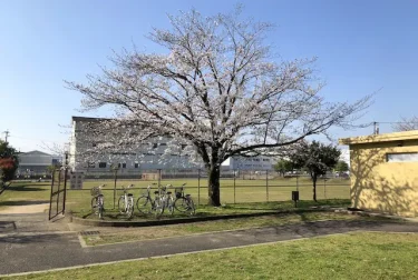 八王寺中央公園（熊本市中央区）