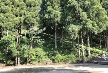 東片自然公園（熊本県八代市）