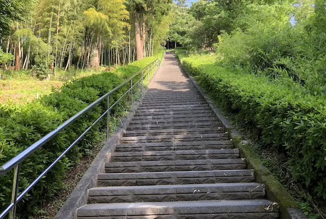 東片自然公園の石段